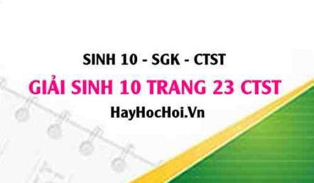 Giải Sinh 10 trang 23 Chân trời sáng tạo SGK